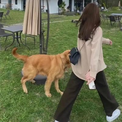 美国晚餐